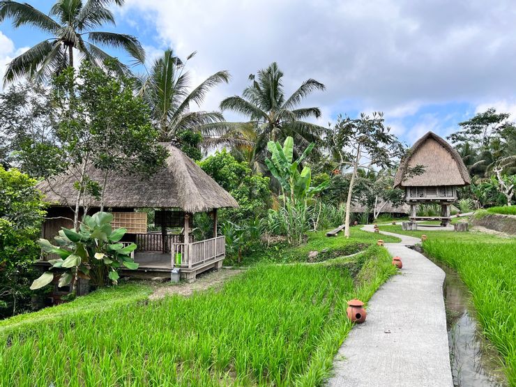 （Claire Chen提供）