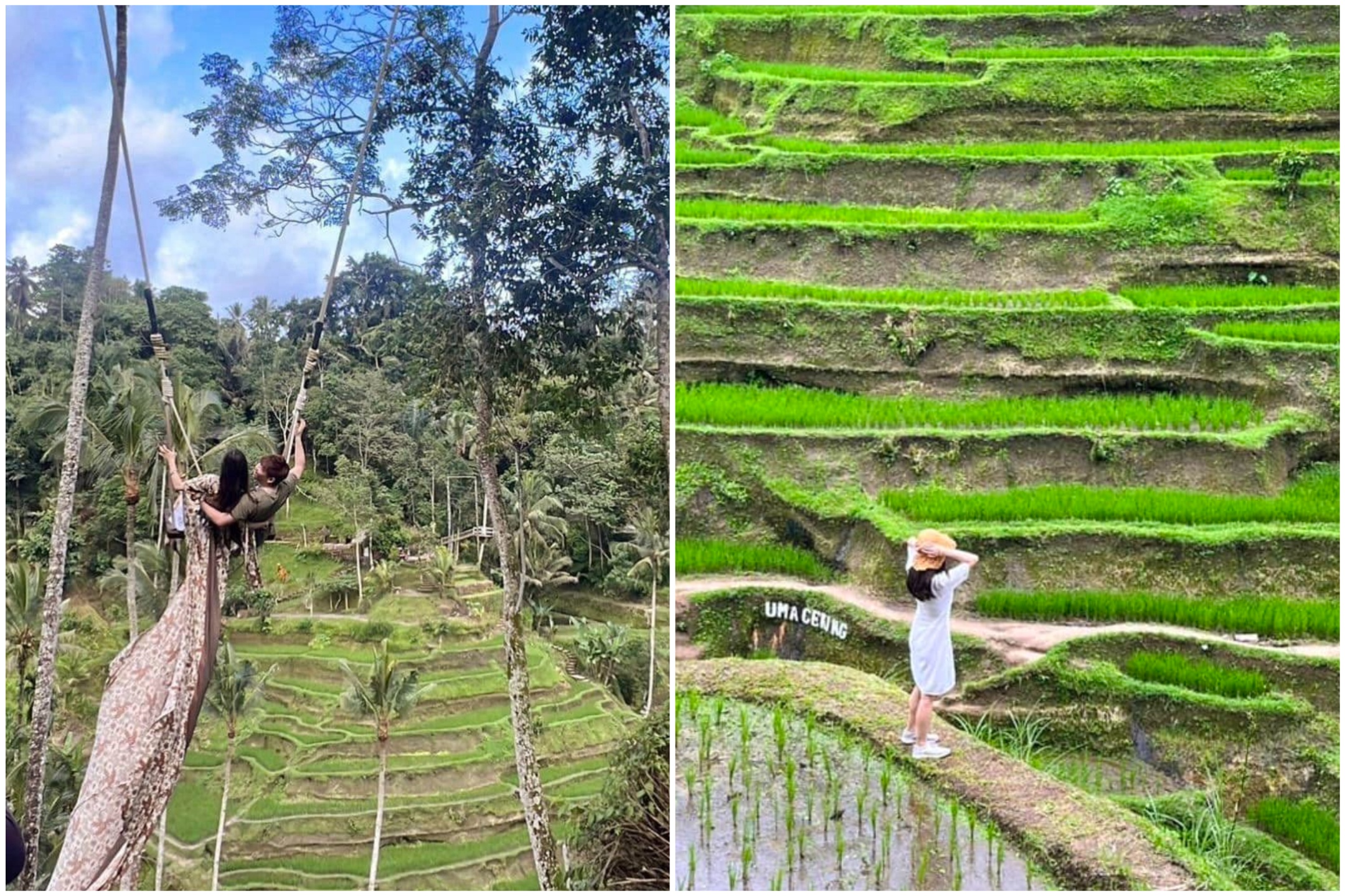 Tegallalang Rice Field（葉庭瑜提供）