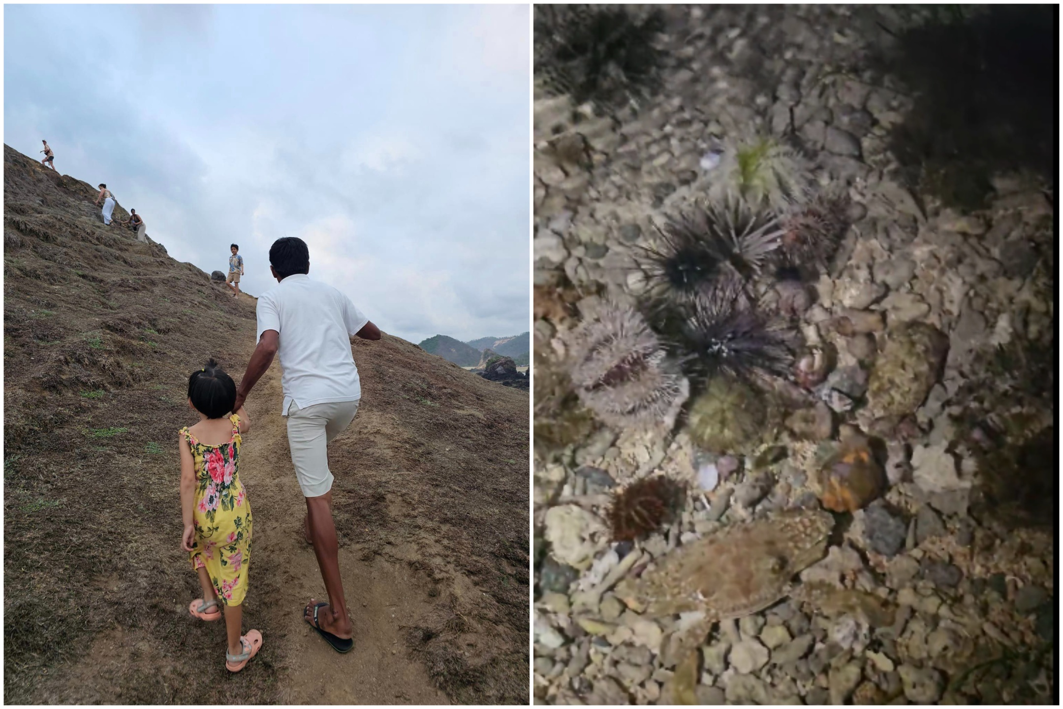 左：Novetel resort lombok的日落健行，有專人帶我們去 / 右：潮間帶尋寶