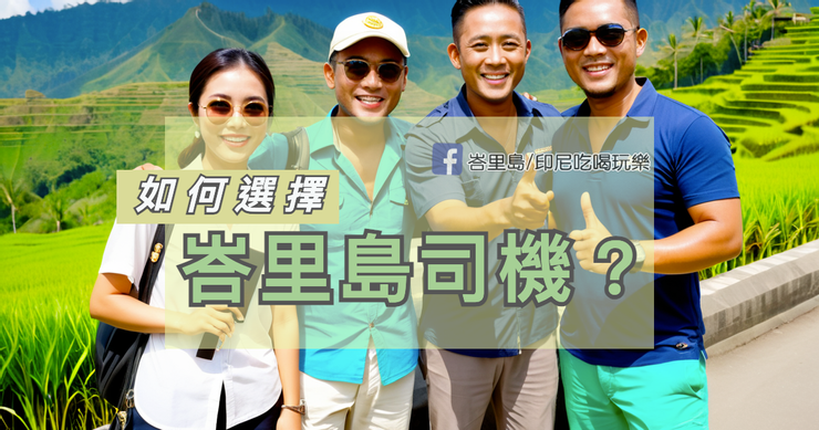 選擇一位司機就像是在選擇開盲盒和參考網友推薦之間做出抉擇