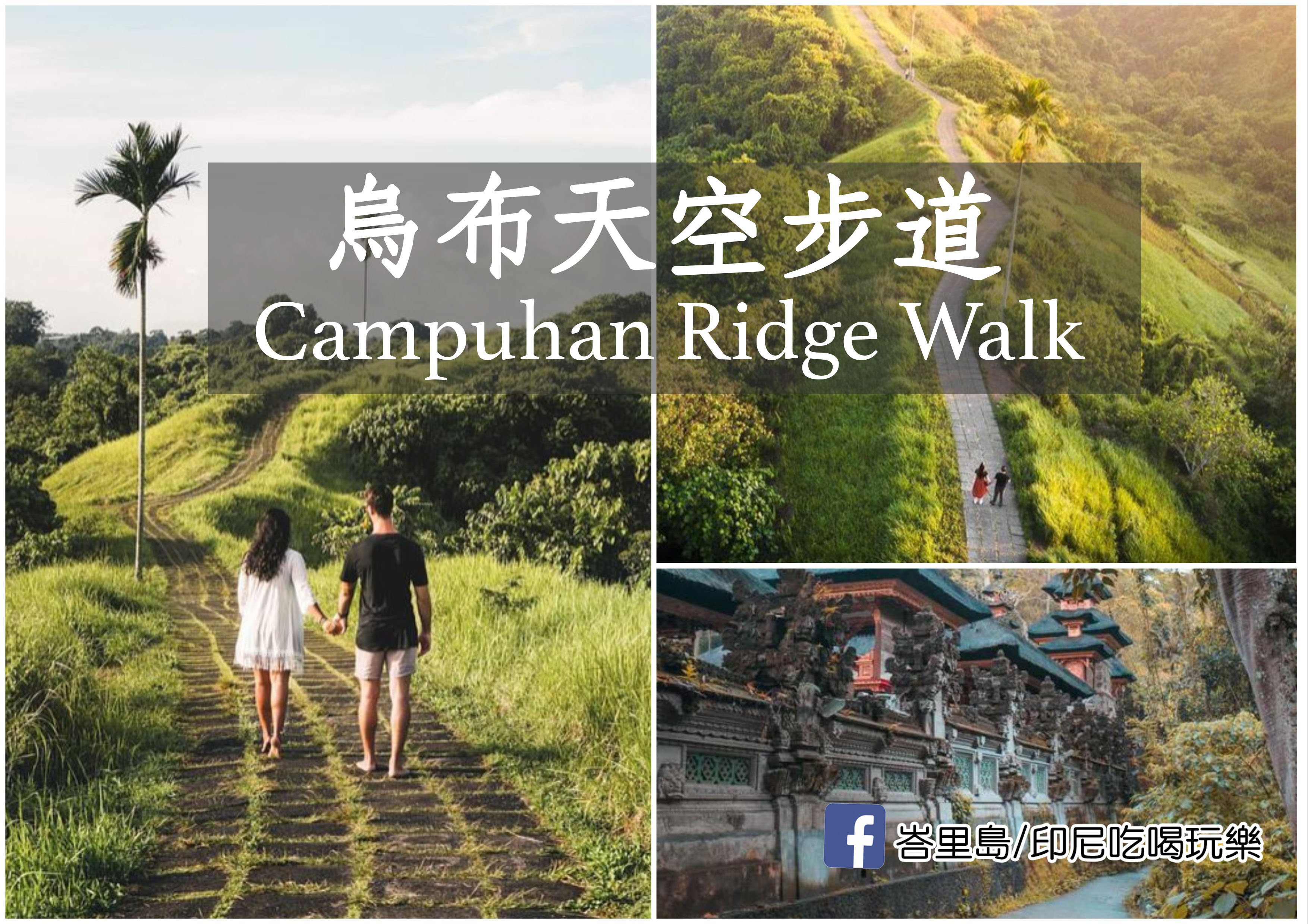 烏布中心步行可到的距離居然有這樣的天堂？「烏布天空步道」Campuhan Ridge Walk介紹