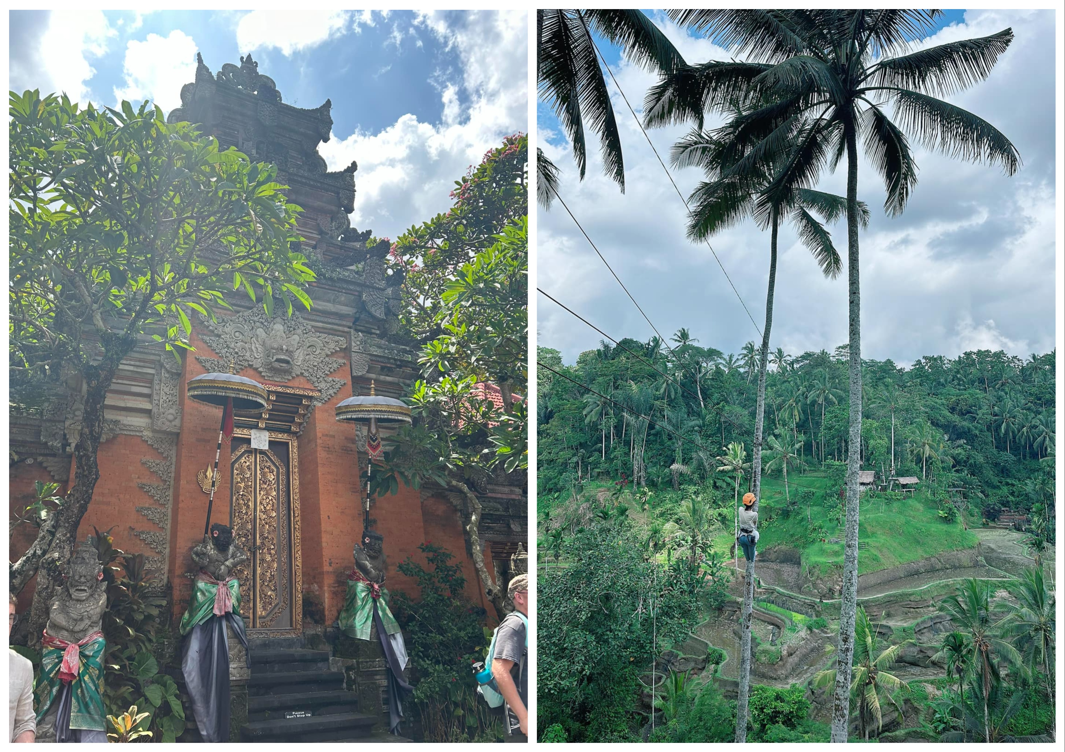 圖：烏布，Serena提供