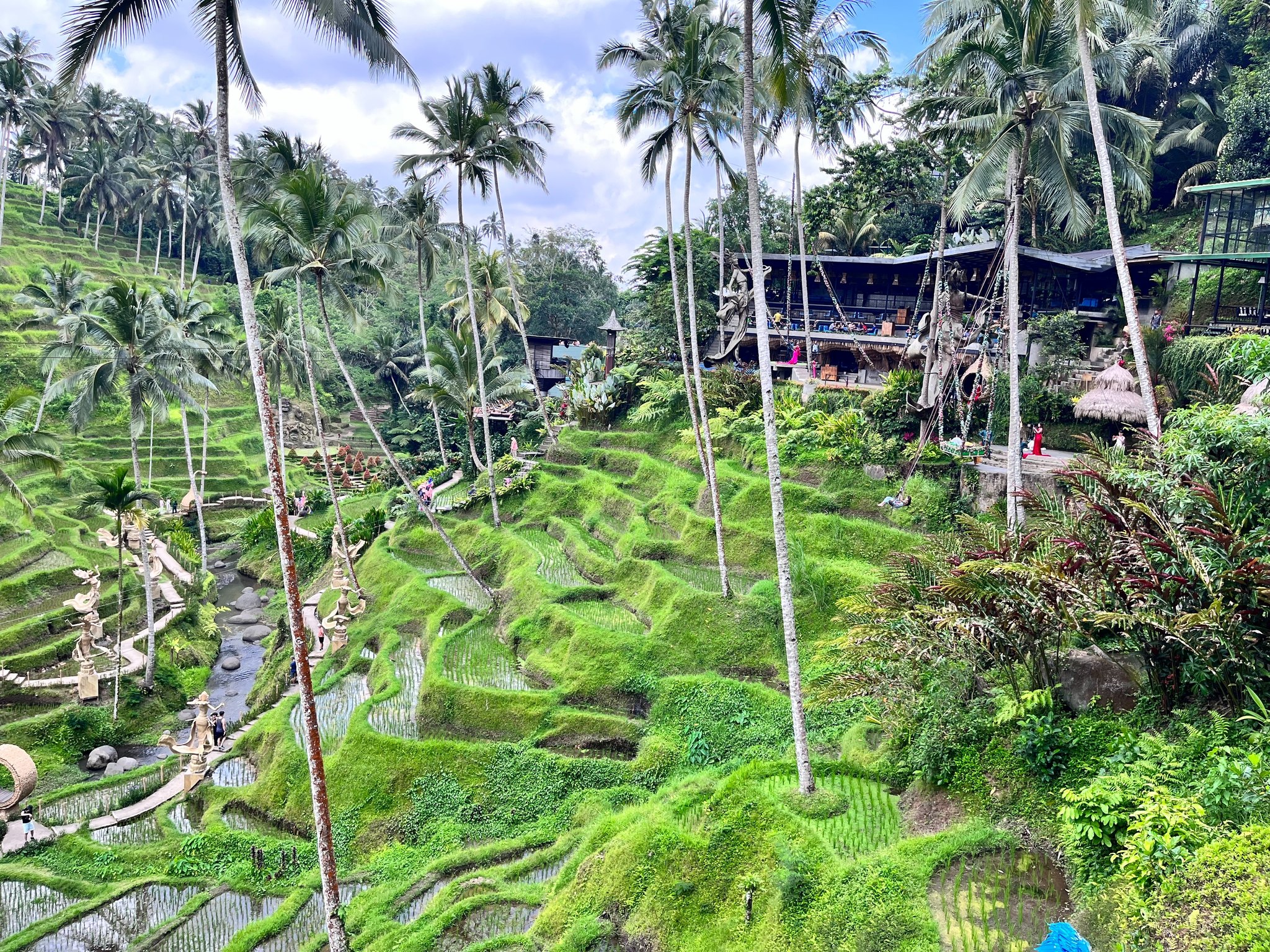 （Claire Chen提供）