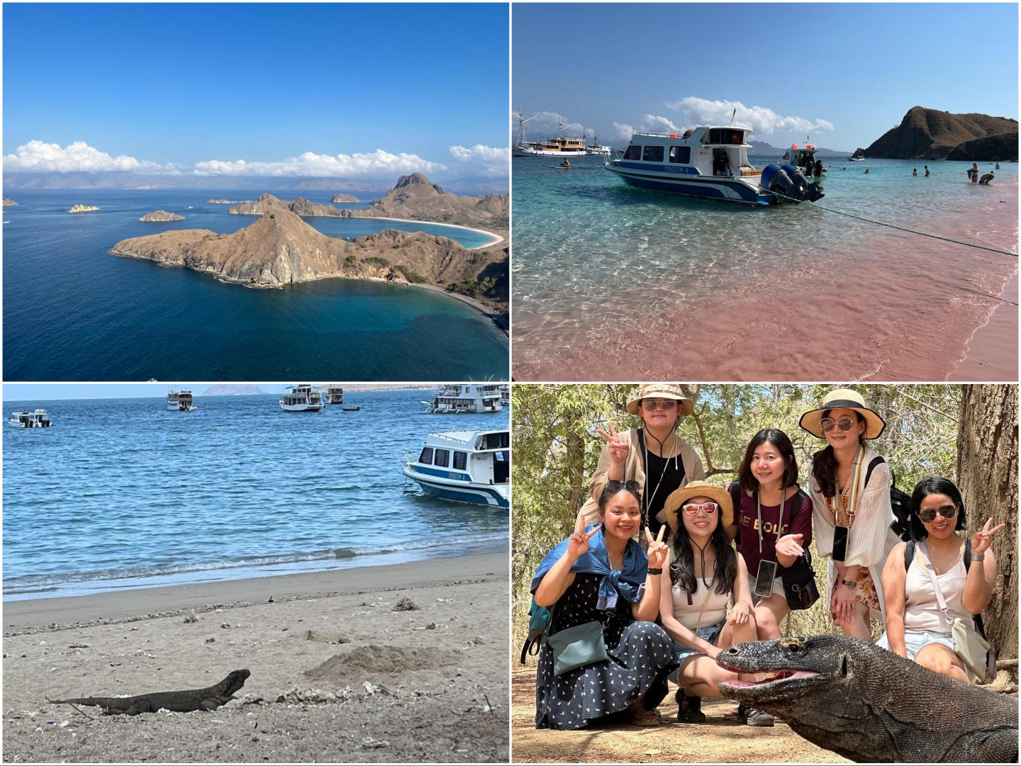 科摩多島 （Sandra Yun提供）