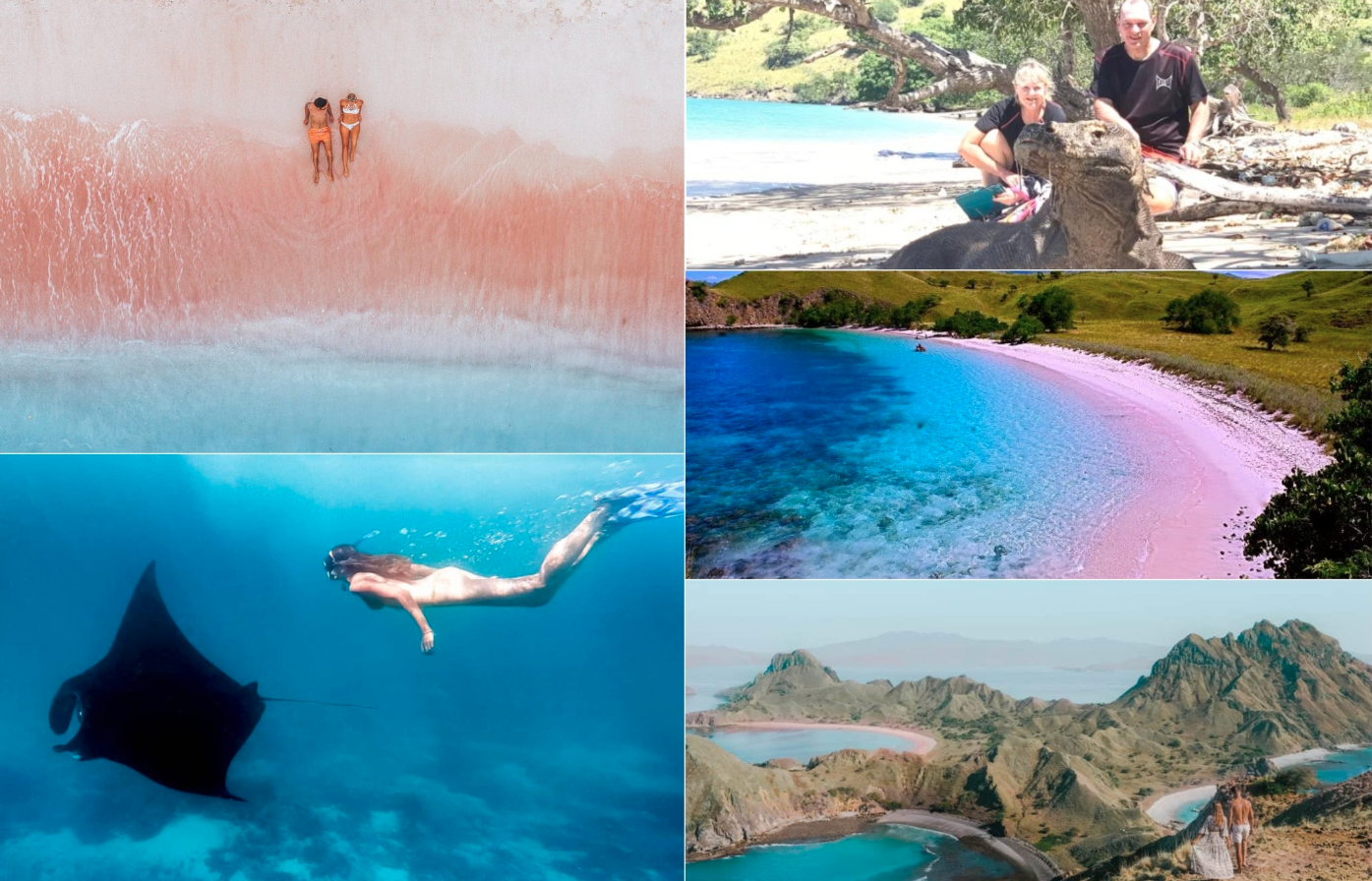 ⭐⭐峇里島+科摩多恐龍島，四晚輕奢住宿/無購物/無自費/五日遊⭐⭐