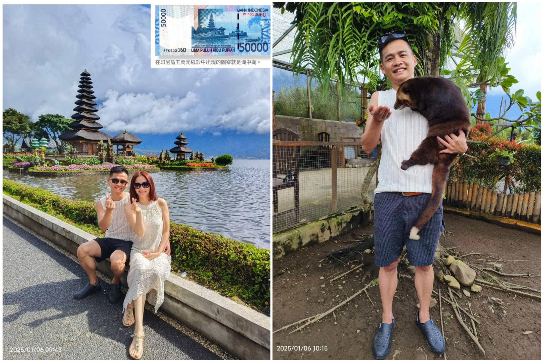 水神廟 / 超軟超可愛的麝香貓