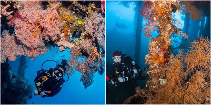 也有豐富的海底景觀