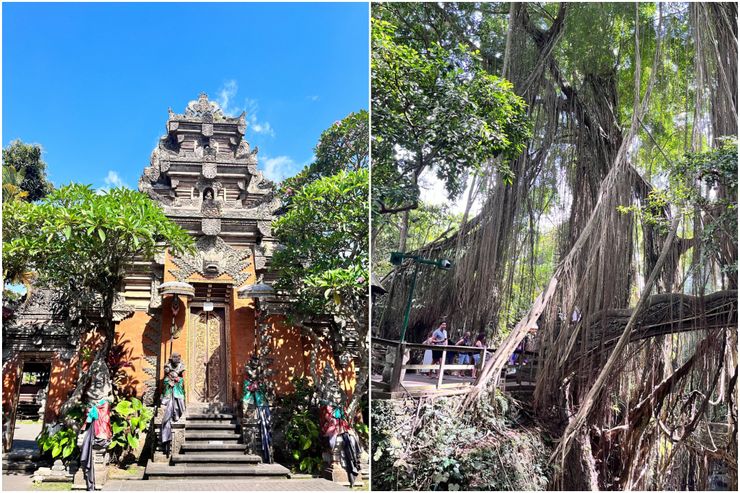 （Claire Chen提供）