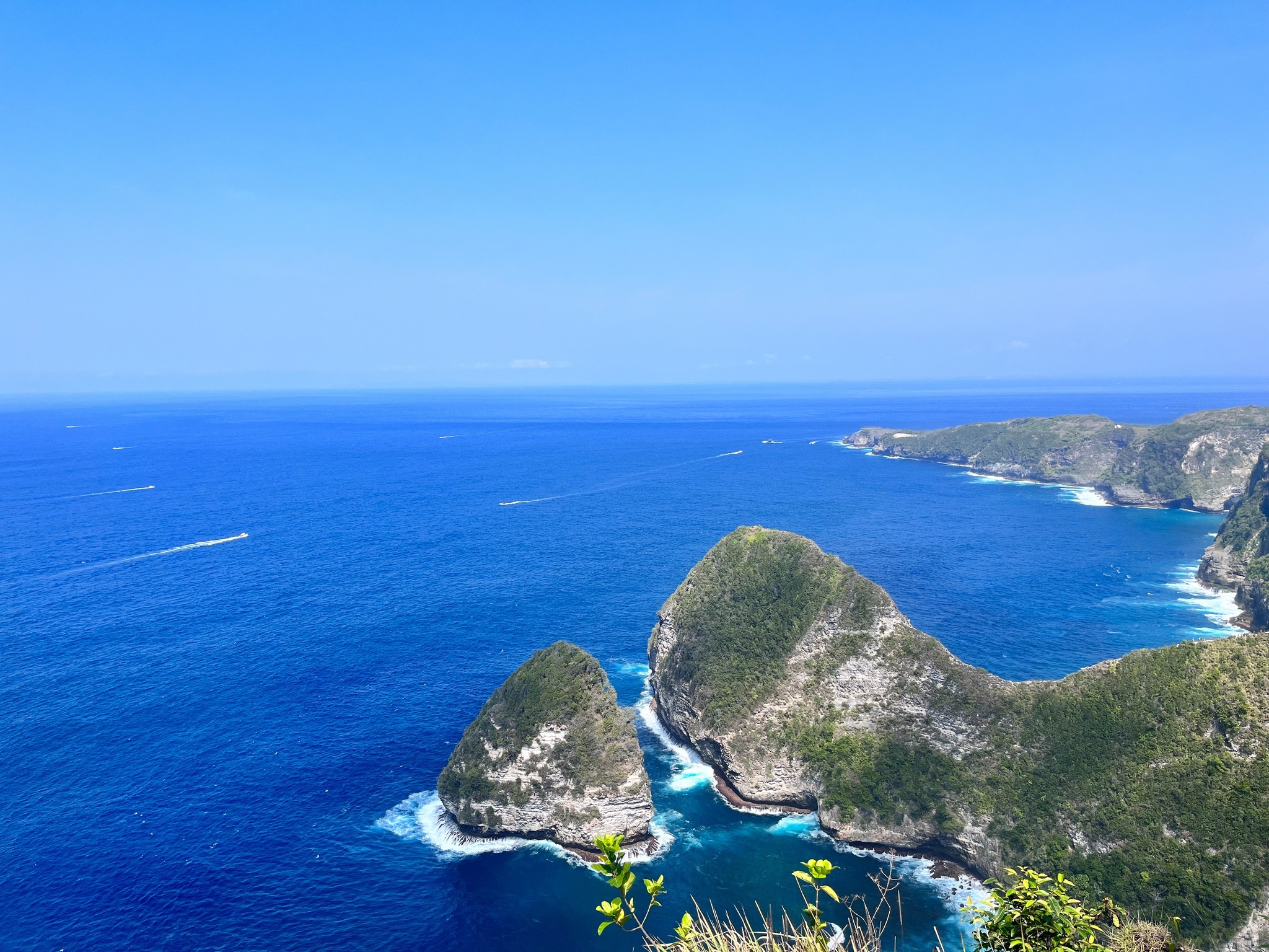 （Claire Chen提供）