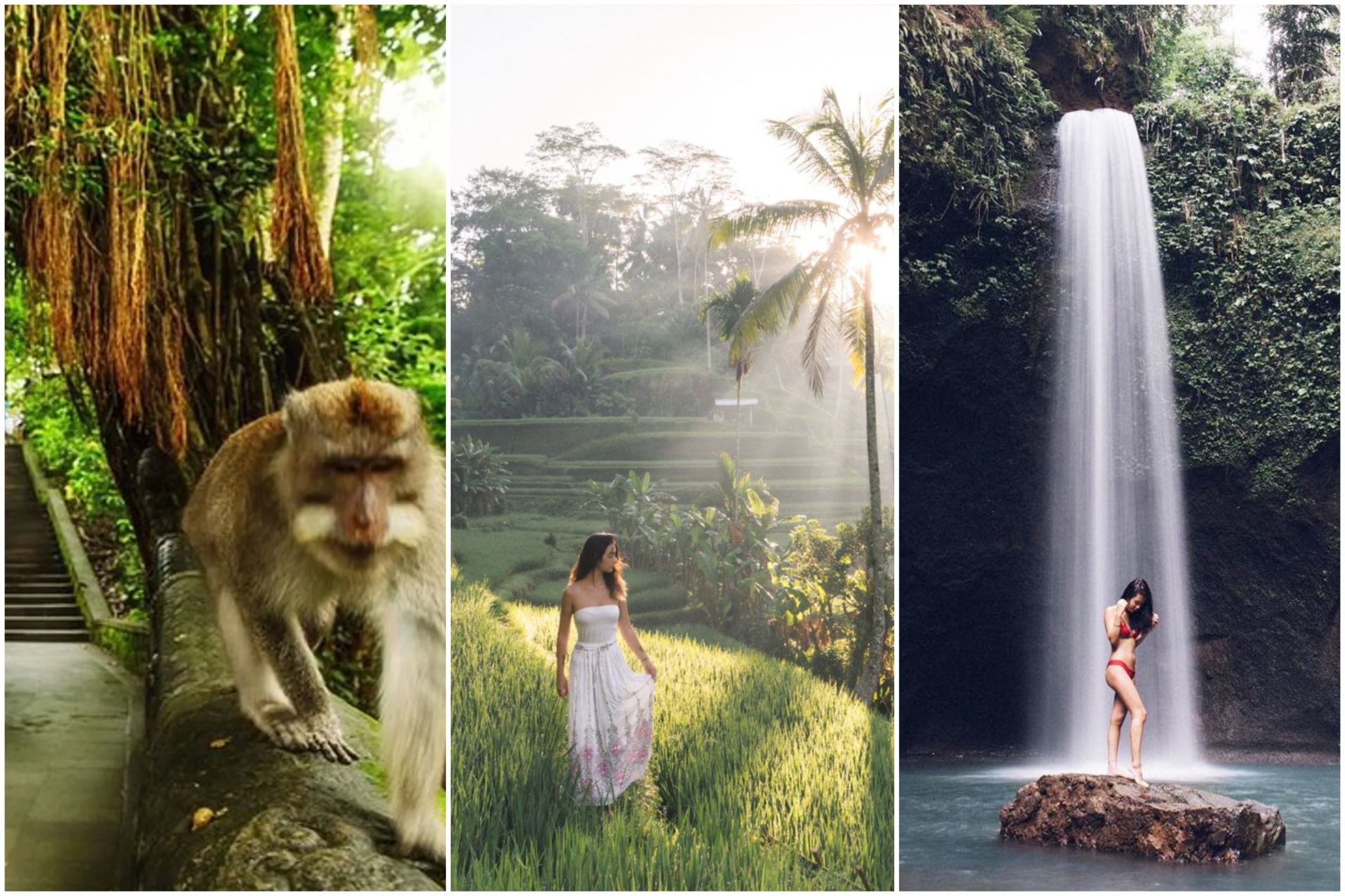 峇里島專業攝影師/空拍隨行一日遊 - 烏布與瀑布之旅