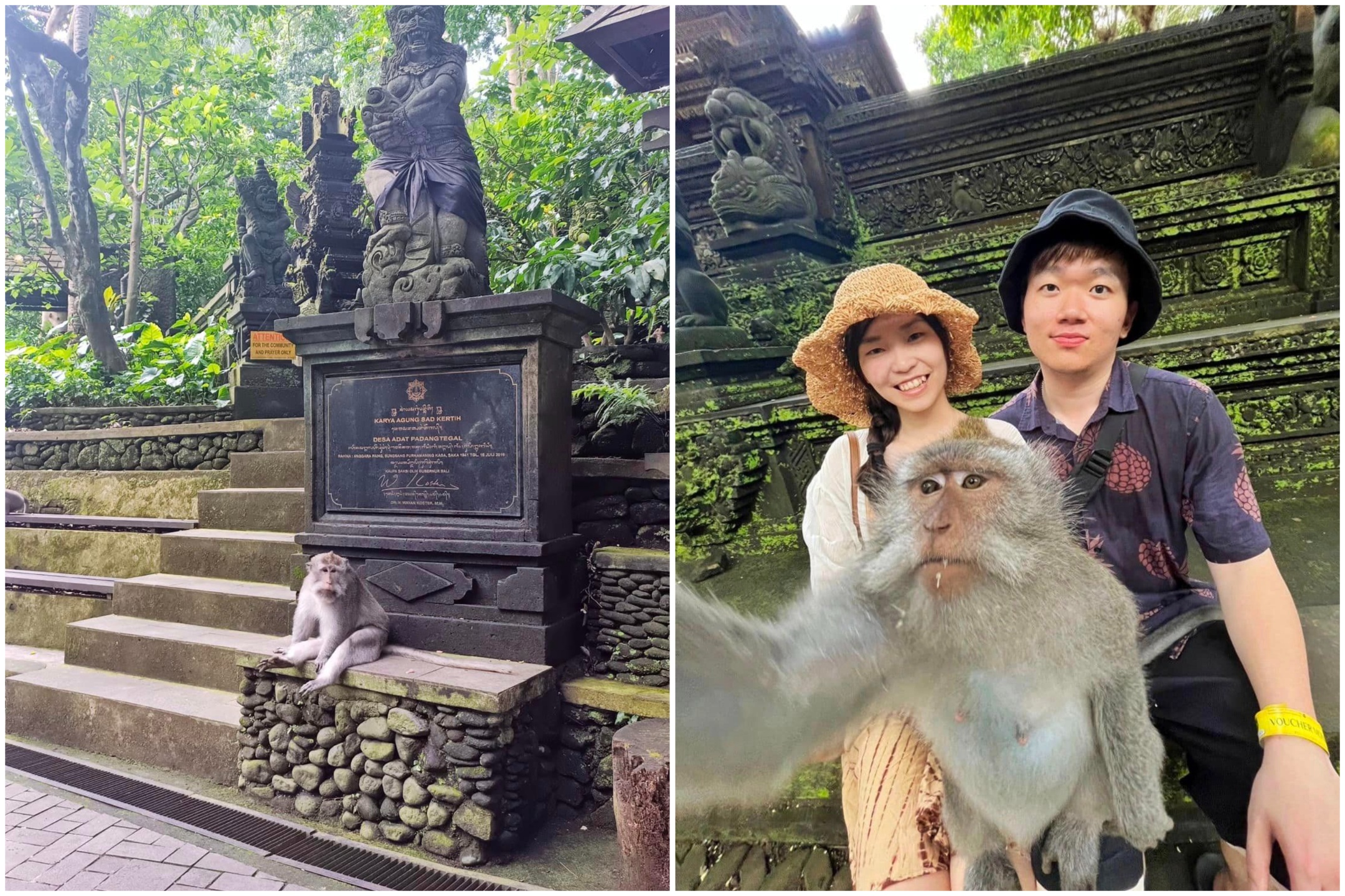 Monkey Forest（葉庭瑜提供）