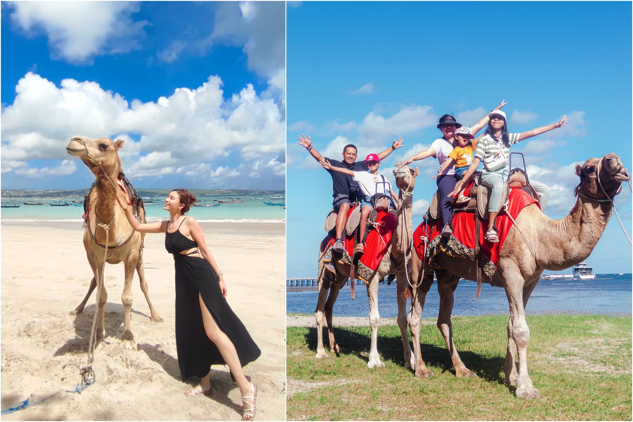 峇里島騎駱駝！兩大沙灘騎駱駝浪漫體驗懶人包