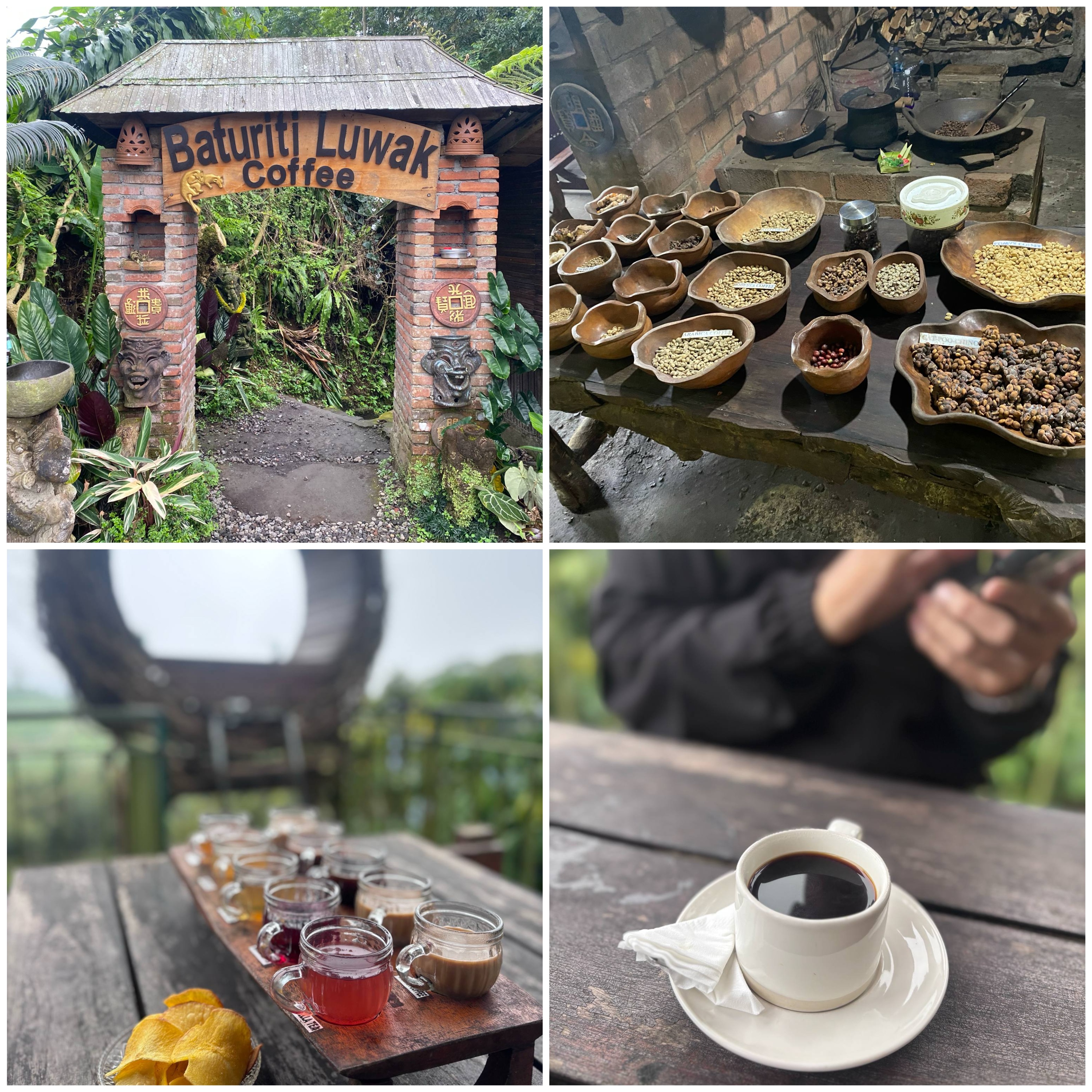 這次沒有在遊記裡特別提到的麝香貓咖啡小園區，其實也蠻值得順道一訪。一杯麝香貓咖啡約 60K，而進入園區門票一人 25K，還能享用五款咖啡與五款茶的試喝體驗。園區裡設有不少可愛又有特色的拍照角落，不僅能品嚐咖啡，還能拍下幾張美照留念，是一個小而精緻、氣氛悠閒的景點。