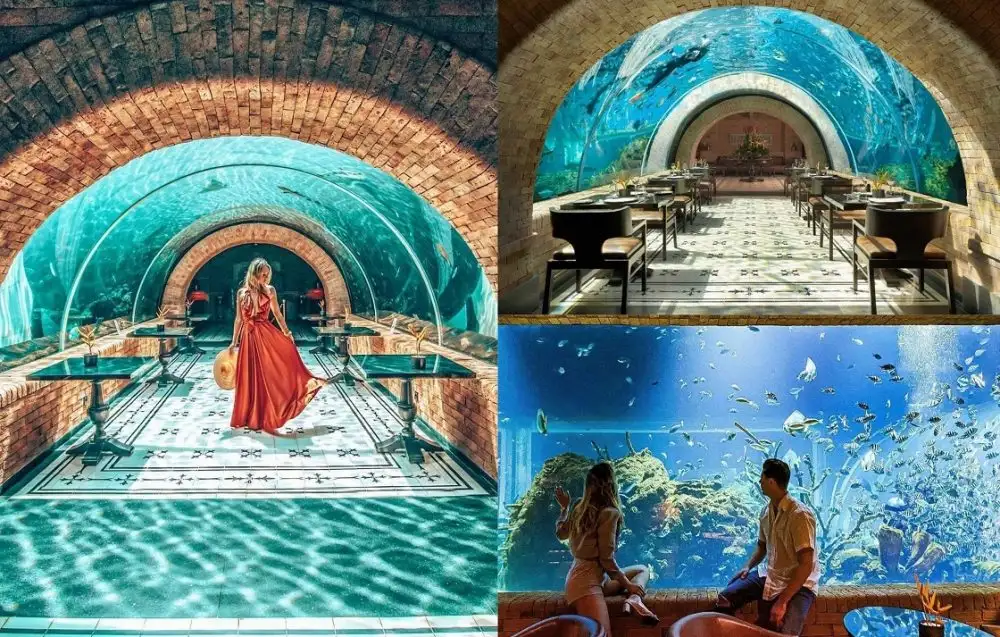 Koral Restaurant 讓你置身於海綿寶寶的海底世界