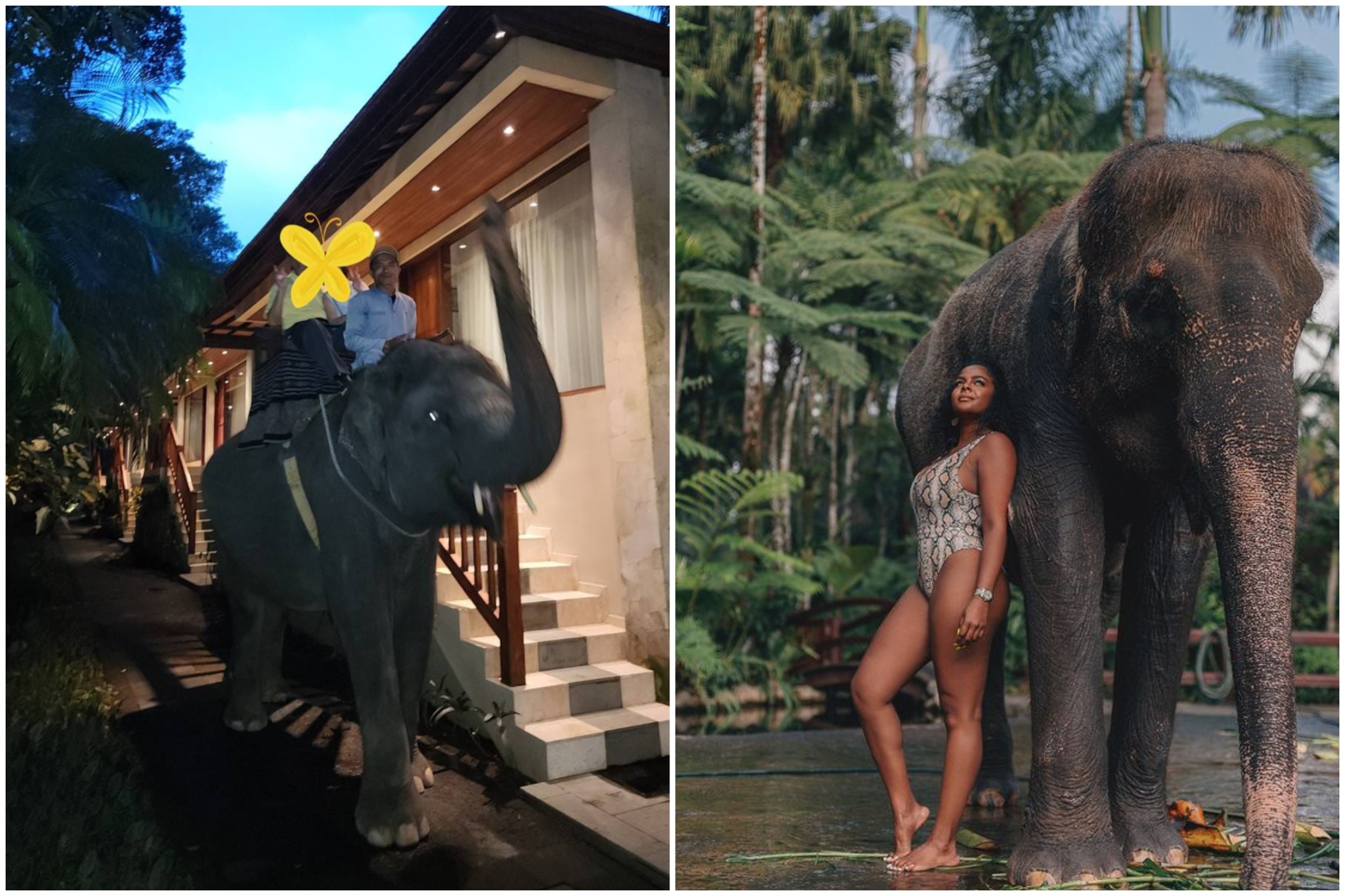 圖：Chuang Ling Chun提供 + 網路截圖