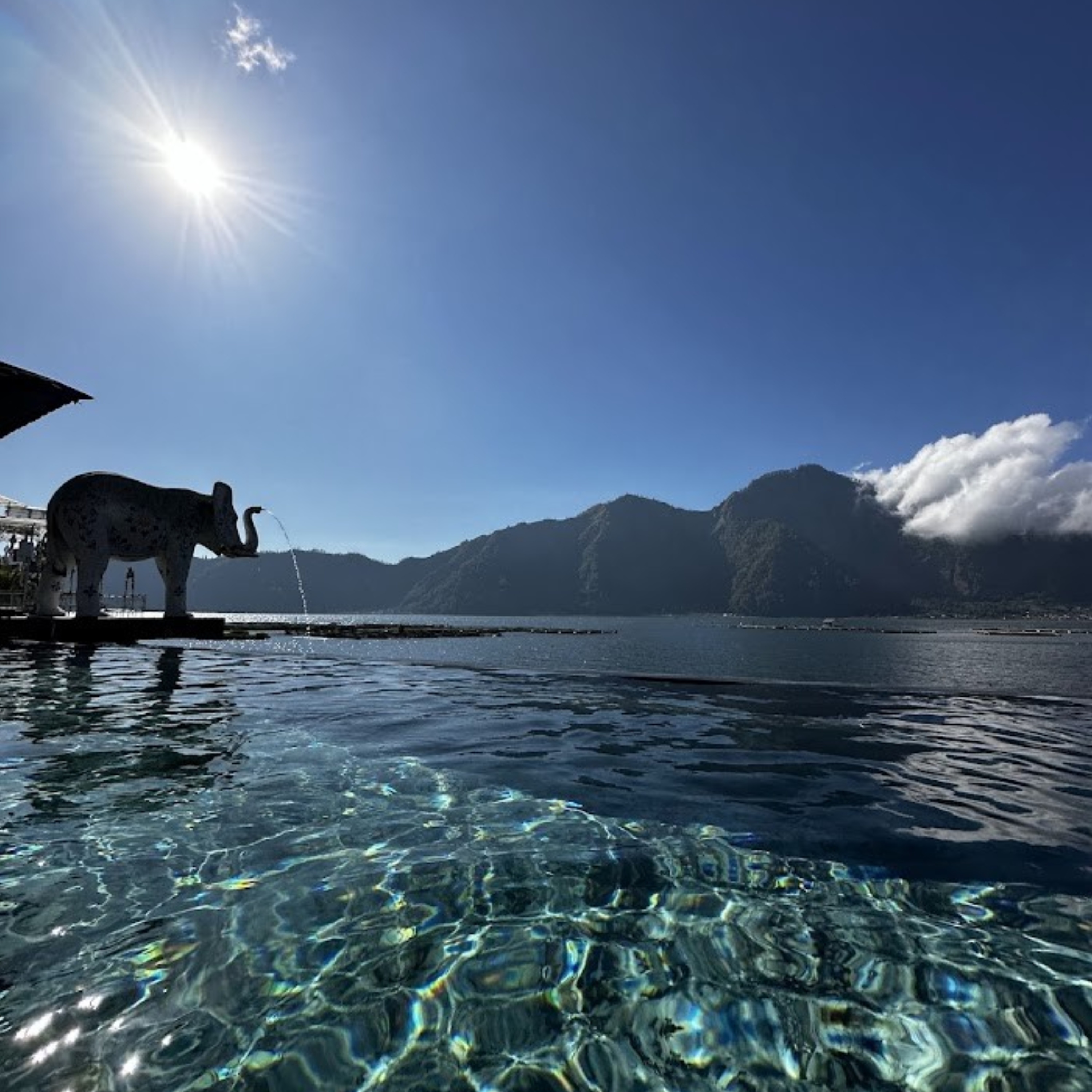 （張家偉提供）