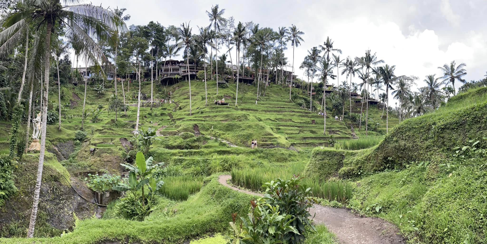 適合長輩的景點參考，請點這裡