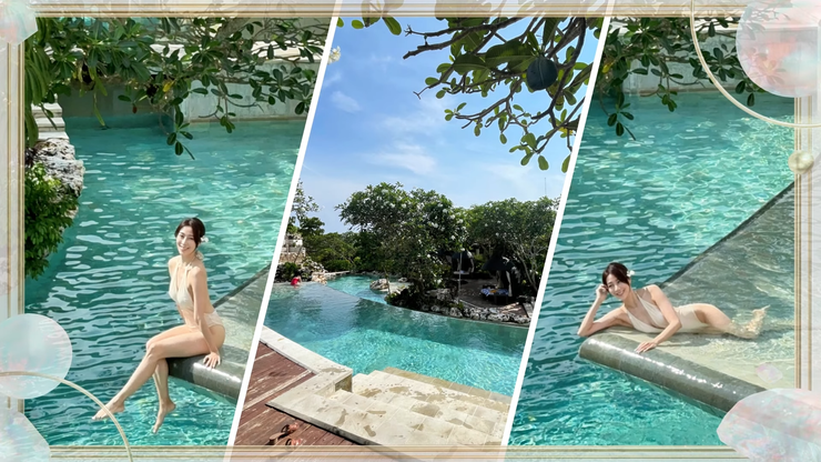 「鳥」的視頻截圖