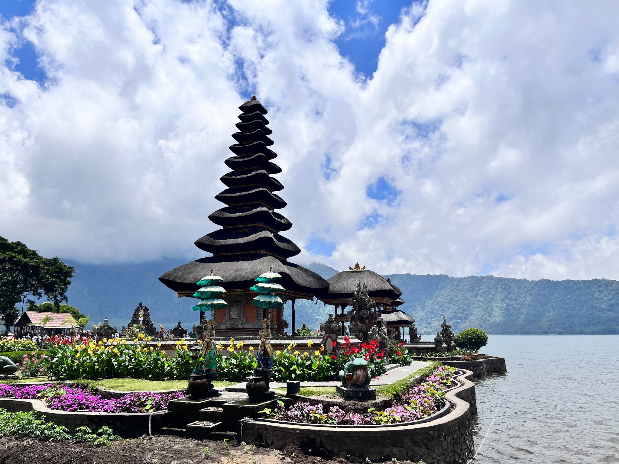 （Claire Chen提供）