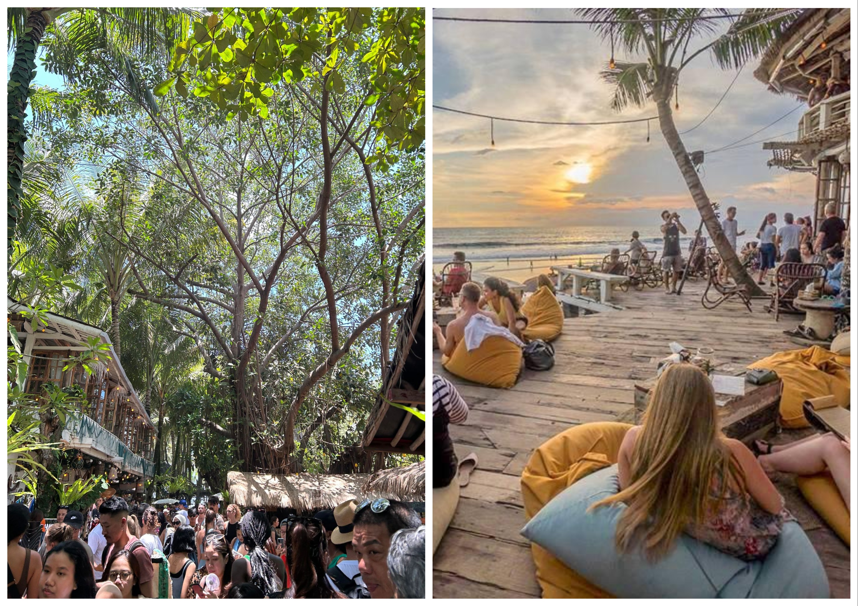 圖：La Brisa，Serena提供