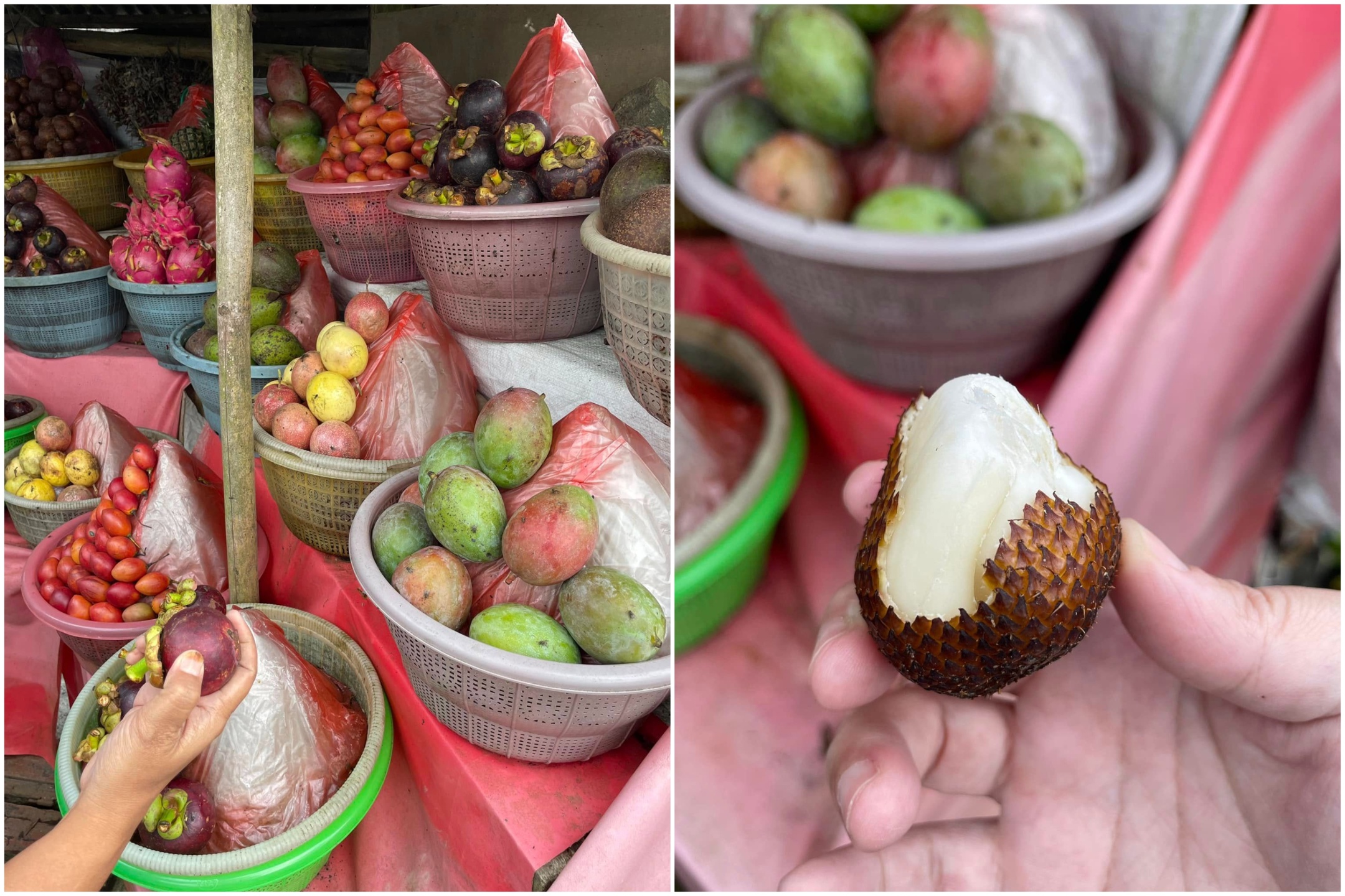 圖左：包車司機帶我們水果攤買山竹 / 圖右：蛇皮果-像有甜味的荸薺
