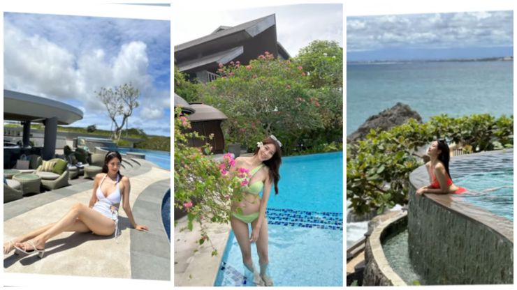 「鳥」的視頻截圖