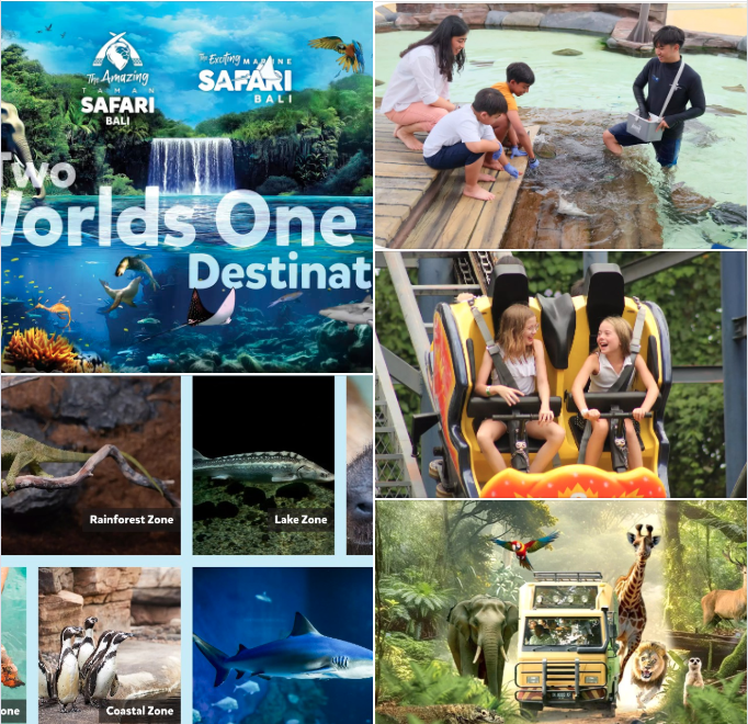 遊客可以近距離觸摸鯊魚和魟魚。除此之外還有企鵝、食人魚、水豚君...等，看看我們的介紹喔！