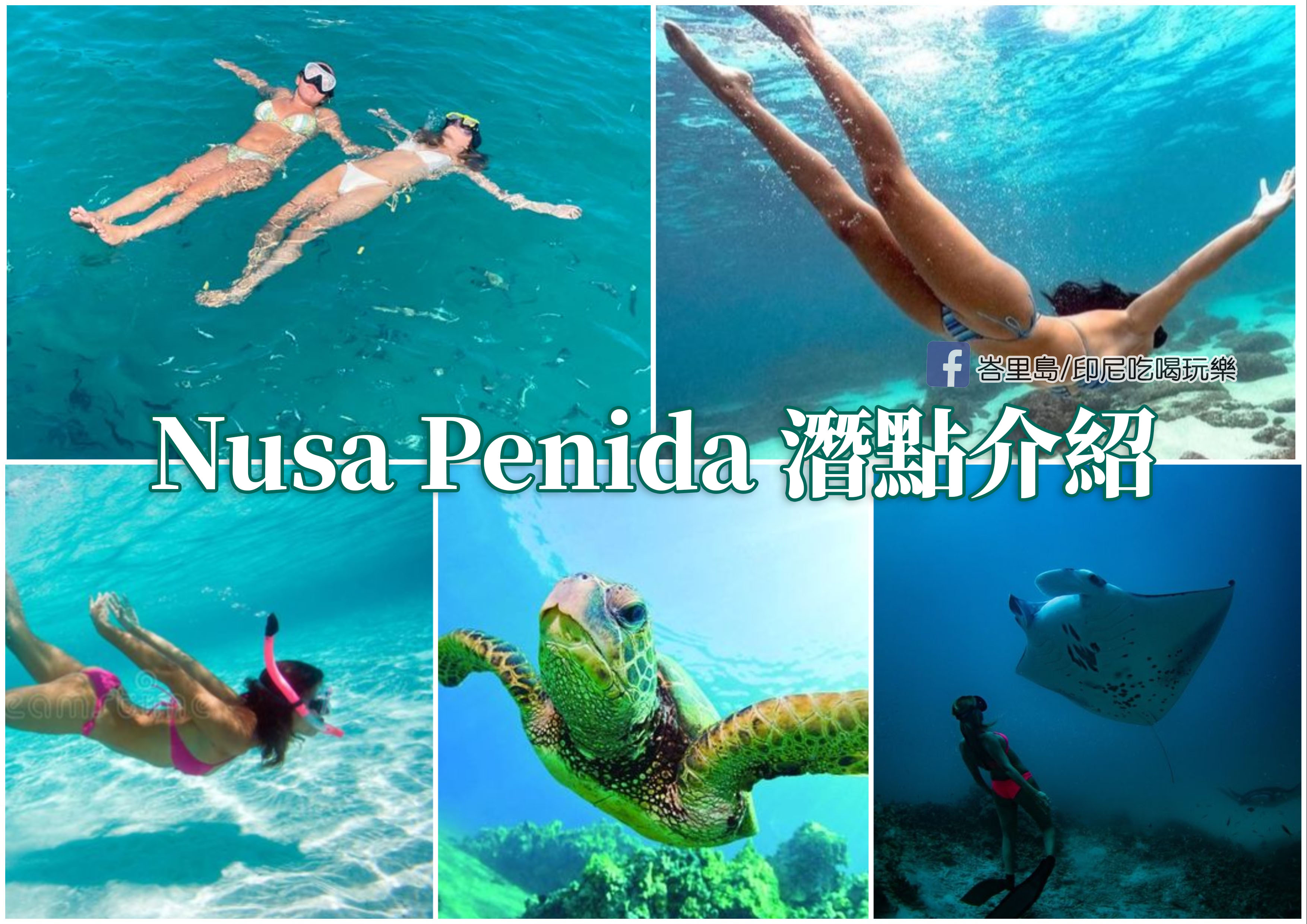 Nusa Penida 努沙佩尼達島的浮潛點介紹，如何參加浮潛？