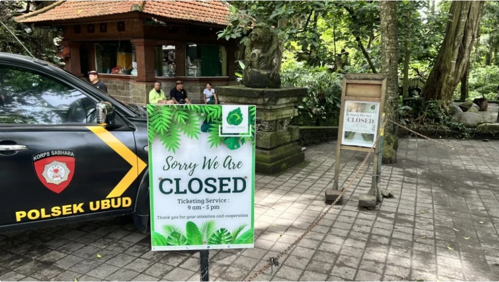 烏布聖猴森林無限期關閉：遊客悲劇引發安全關注