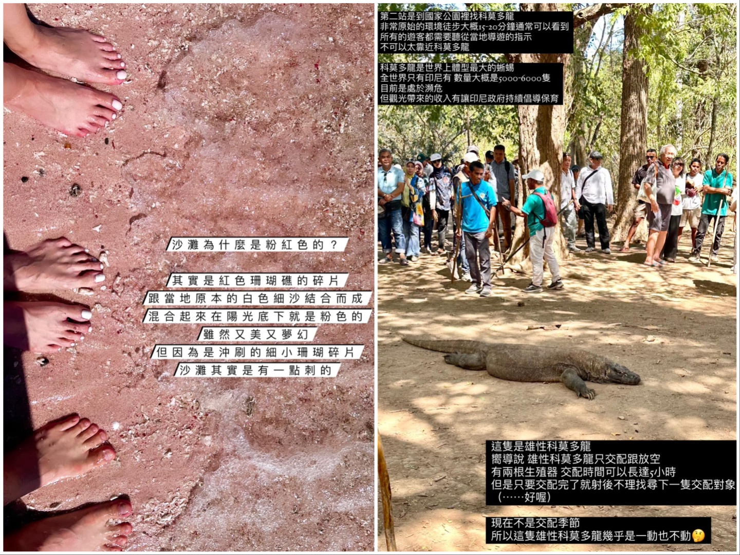 左：所以地上其實滿刺的，我的泳衣布料就帶了很多非常細小的紅色珊瑚微粒回家。右：說明有誤，這邊是第三站了。這個行程若不想走路可以在外面等。（Astrid Chang提供）