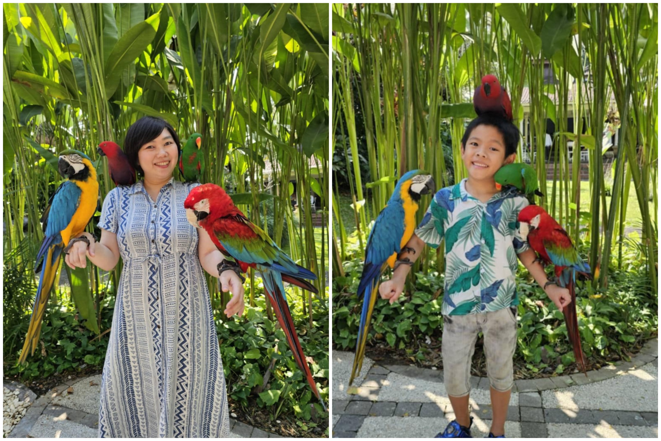 Bali Bird Park
