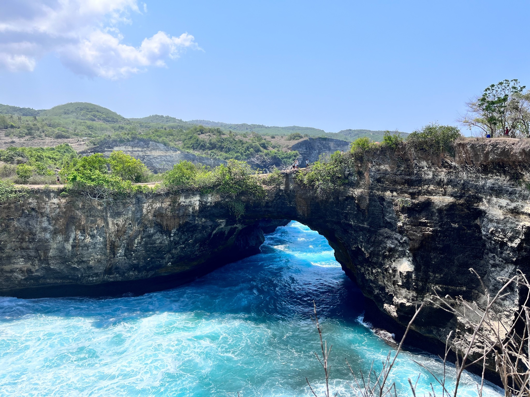 （Claire Chen提供）